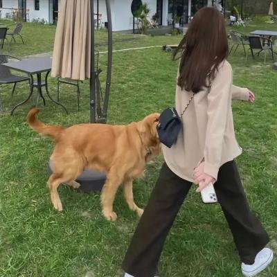 三号嫌疑犯
