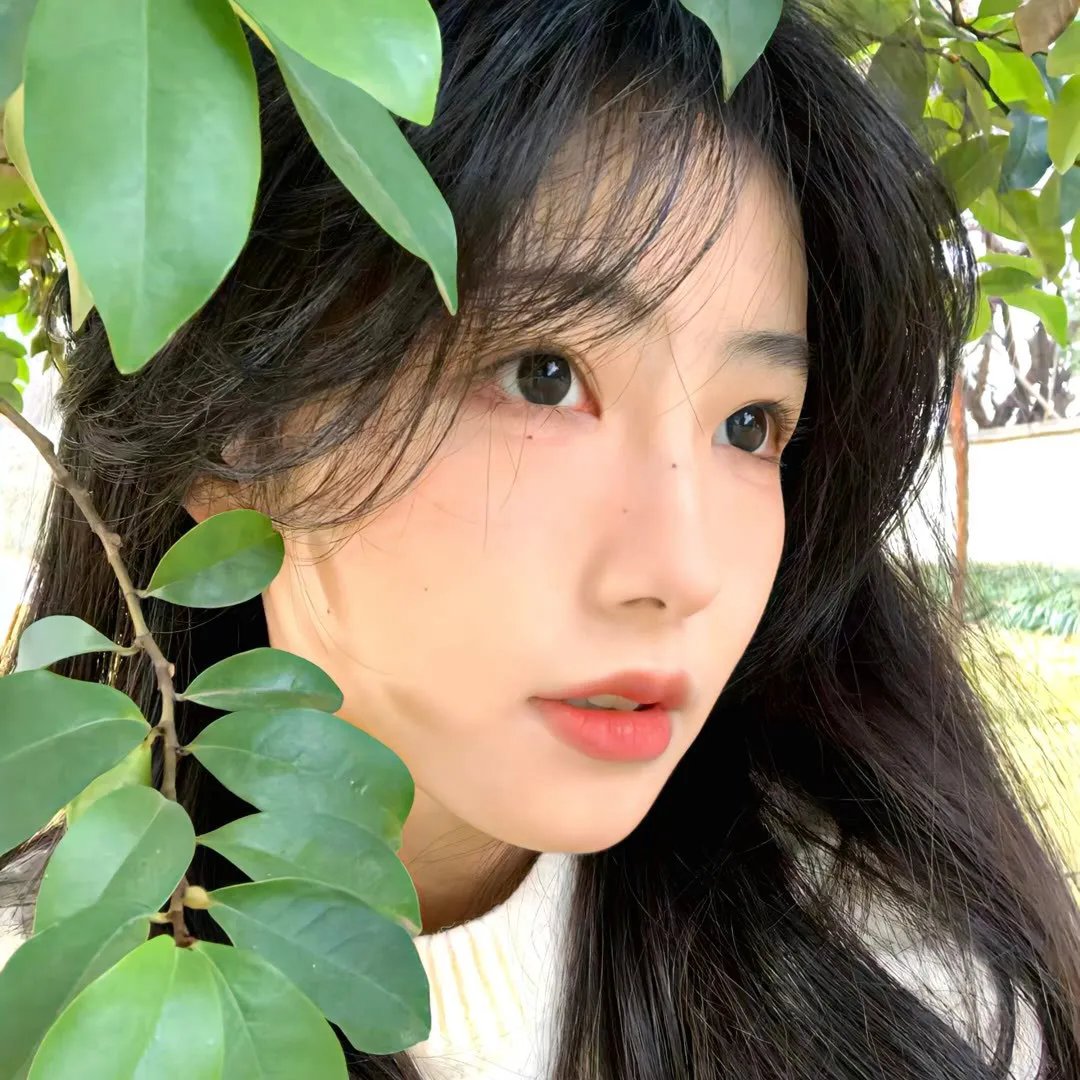 布偶大电影